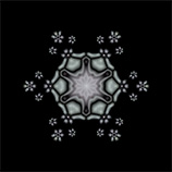 The print 'Inhabitants of the Nanocosm 3'