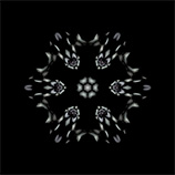 The print 'Inhabitants of the Nanocosm 5'