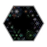 The central panel (panel 1)