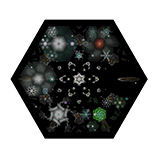 The print 'Picocosm 2'