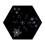 The print 'Picocosm 5'